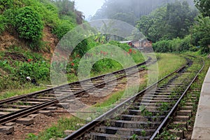 Train arriving at at Ella station - Sri lanka photo